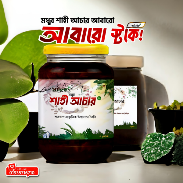 মধুর শাহী আচার