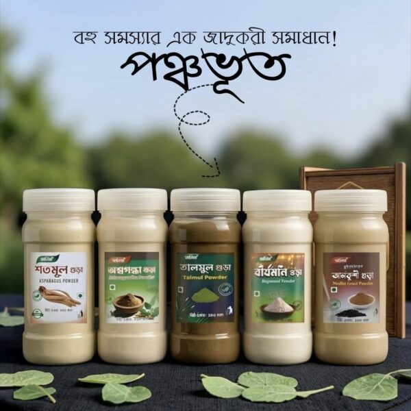 পঞ্চ-ভূত